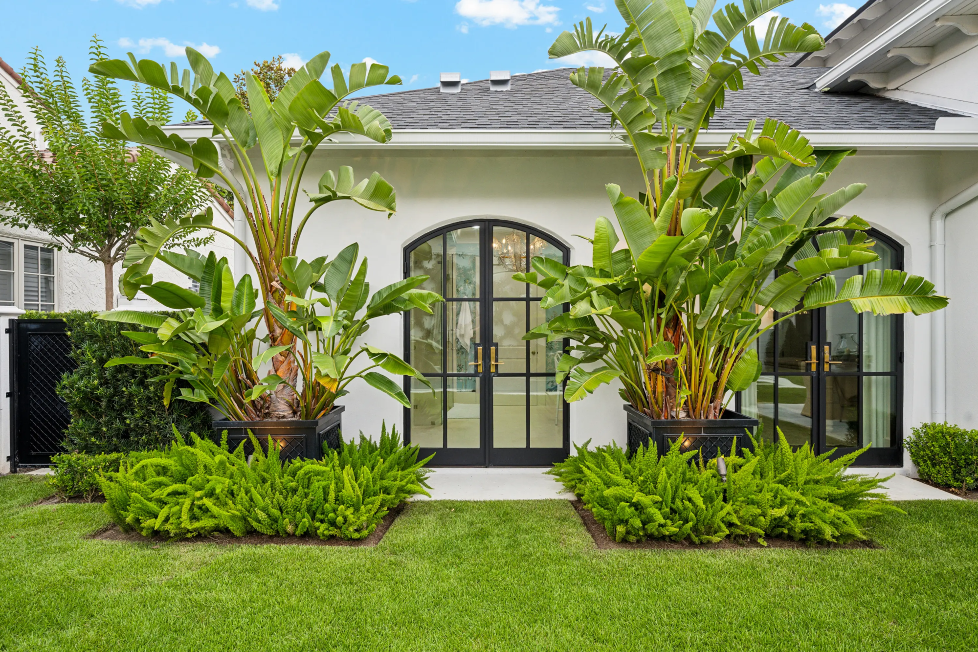 Arched entry door flanked by tall bird-of-paradise plantings underplanted with lush fern beds in defined mulch borders.